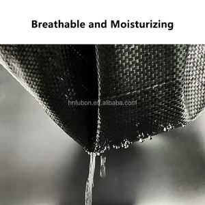 Le tapis de sol en tissu anti-mauvaises herbes pour l'agriculture en PP/PE inhibe les mauvaises herbes et hydrate le sol utilisé pour recouvrir le sol - Product Image 3