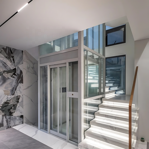 घर के दर्जी के लिए कारखाने की आपूर्ति प्लेटफॉर्म लिफ्ट ने मनोरम लिफ्ट को अच्छी गुणवत्ता वाली कम कीमत वाले घर लिफ्ट बनाया - Product Image 2