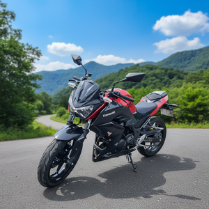 Motocicleta Clásica Kawasaki Z250CC con Velocidad Máxima de >80 km/h, Altas Ventas y Elogios para Uso Diario - Product Image 1