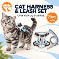 Harnais pour chat personnalisé, respirant, en maille, réglable, avec boucles magnétiques, poignée, support de traqueur en silicone et laisse pour chien