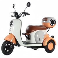 Moteur de moyeu arrière 1000W, double tension 60V/48V, tricycle électrique |   Vélo pour adultes à 3 vitesses, pneus larges, style tendance, cadre en acier au carbone, batterie au plomb-acide