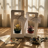 Boîte d'emballage de fleurs portable personnalisée, boîte cadeau simple pour plantes succulentes, carton blanc laminé