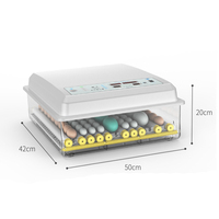 Mini-incubateur avec batterie de secours DC12V, retournement automatique des œufs, vision panoramique, pour l'éclosion de poulets et de cailles