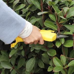 <span class=keywords><strong>Tijeras</strong></span> <span class=keywords><strong>de</strong></span> <span class=keywords><strong>podar</strong></span> <span class=keywords><strong>eléctricas</strong></span> <span class=keywords><strong>baratas</strong></span> personalizadas, <span class=keywords><strong>tijeras</strong></span> inalámbricas para árboles <span class=keywords><strong>de</strong></span> jardín - Product Image 5