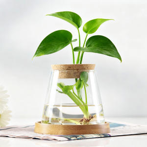 وعاء زجاجي صغير على شكل جبل للزراعة المائية مع غطاء خشبي وصينية للديكور الداخلي - Product Image 1