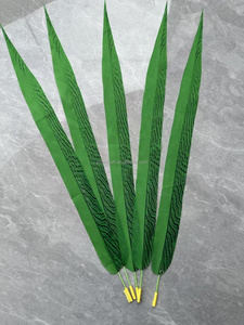 Mới Trong <span class=keywords><strong>2025</strong></span> Chất Lượng Cao 60-65Cm Nhân Tạo Đầy Màu Sắc Bạc Gà lôi Lông Cho Giáng Sinh Lễ Hội Trang Trí - Product Image 4