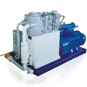 25 mpa wide range natural cng compressor 250bar sale