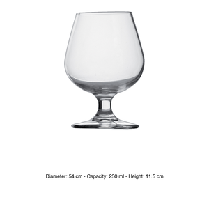 Vaso de Cognac Bormioli Rocco de 25 cl con Forma de Globo - Product Image 3