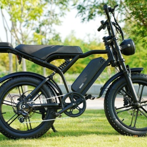 Bicicleta Eléctrica Plegable Star Product, Velocidad Máxima <span class=keywords><strong>de</strong></span> 25 km/h, Bicicleta <span class=keywords><strong>de</strong></span> Carga Eléctrica, Paseos en Grupo con Amigos - Product Image 1
