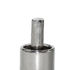 DKV otomatis babi peminum pentil air 1/2 "male thread Pin katup baja tahan karat pakan Wetting puting babi peminum sprayer