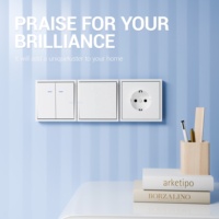 Estilo elegante retro 80*80mm tablero grande panel táctil suave 2 Gang interruptor de 1 vía con indicador Led doble Polo 10A para uso doméstico