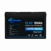 Batería Recargable LiFePO4 de 12V 100Ah para RV, Sistemas Solares Marinos, Motor de Arrastre, UPS, Almacenamiento de Energía, 5000 Ciclos de Vida Útil