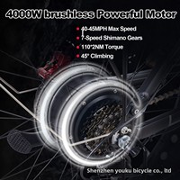 Vélo Électrique Ebycco à Double Moteur, Vente en Gros Usine, 32Ah, 26 Pouces, 7 Vitesses, Pneus Larges, Cadre en Alliage d'Aluminium, VTT Avant