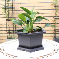 Vente en gros et livraison directe de pots d'orchidées hexagonaux en plastique épaissi imitation style chinois, pots de bonsaï rectangulaires, pots de plantes succulentes
