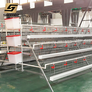 Jaulas de <span class=keywords><strong>gallinero</strong></span> galvanizadas tipo A para cría de aves de corral, jaulas de batería para gallinas ponedoras en venta - Product Image 3