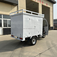 Tricycle à moteur à essence pour livraison express, avec benne ouverte, idéal pour coursier urbain et livraison de colis - Vente Flash