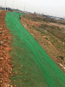 Vật liệu mới HDPE Đen thảm thực vật ba chiều bảo vệ dốc lưới đặc biệt - Product Image 3