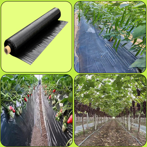 Màng phủ đen, màng phủ đặc biệt cho cỏ thơm, màng phủ trồng nông nghiệp - Product Image 3