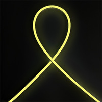 Fabricant de matériaux néon Repsn Sign Gen1.0, néon LED intégré flexible, lumière jaune citron, tubes néon en silicone 6*12mm