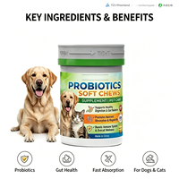 Probiotiques pour chiens et chats adultes, comprimés à mâcher souples, prébiotiques, santé digestive, multivitamines, 100% naturel, absorption rapide