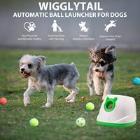 Lanceur de balles automatique pour chiens, lanceur de balles pour chiens, lanceur de balles pour chiens avec 10 balles pour petits chiens