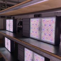 Nouvelle conception de 820W 1930e LED à spectre complet pour la croissance et la floraison en intérieur