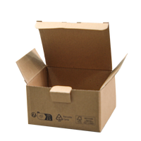 Boîte ondulée avec insert protecteur pliable Boîte d'emballage imprimée robuste pour l'électronique et le commerce électronique