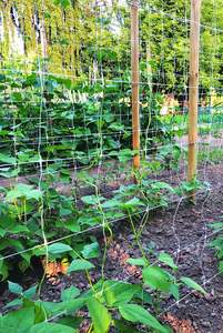 Huike 6*6 inç Özel Boyutlu Tırmanma Ağı, Sebze, Domates, Salatalık ve Asmalar Yetiştirmek İçin - Product Image 5