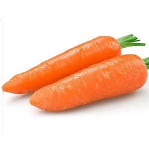 Carotenoids 5% <strong>Carrot</strong> <strong>Extract</strong> <strong>Carrot</strong> Dietary Fiber Pure Natural Food Grade - Product Image 3