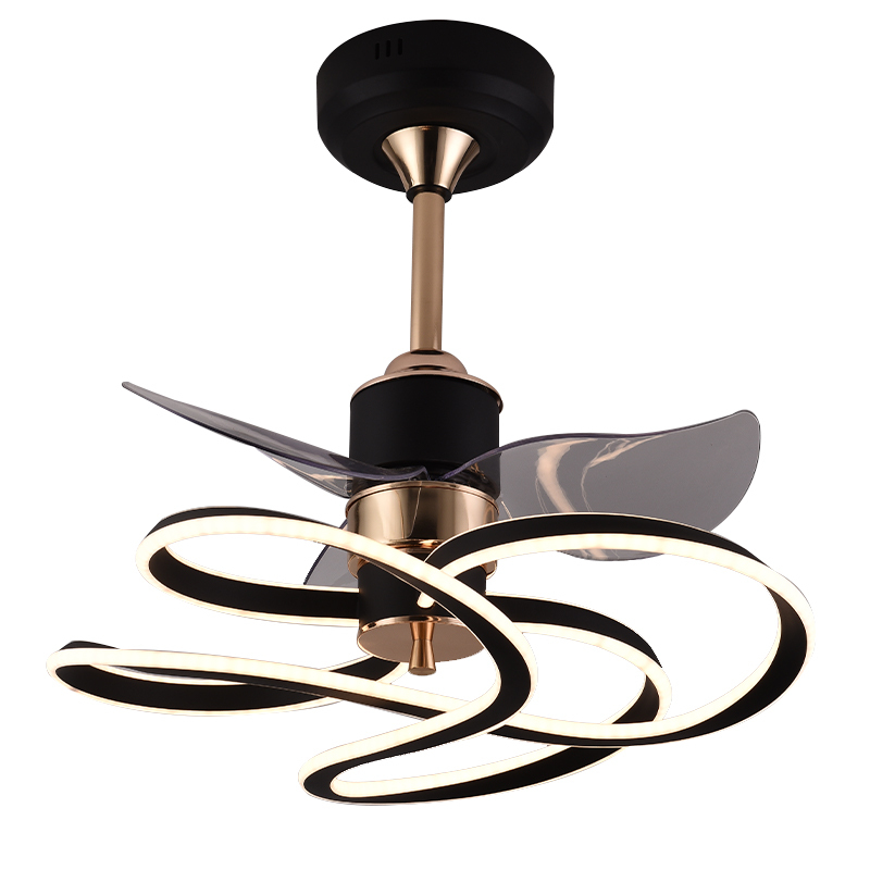 Wholesale Customization China Smart Decorative Lighting Household Modern Luxury Ceiling Fan Lamp