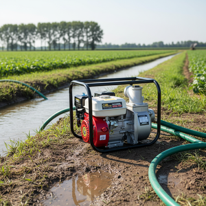 Motopompe à Essence Économique WP30, Machine de <span class=keywords><strong>Pompe</strong></span> à Eau Agricole, Code SH - Product Image 1