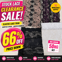 Déstockage en gros : Dentelle élastique extensible de 20 cm, tissu de dentelle mélangée pour lingerie, sous-vêtements, soutien-gorge, culotte et accessoires vestimentaires