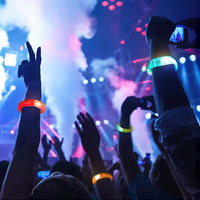 Bracelets à LED pour fête Bâtons lumineux lumineux Jouet de fête Neon Rave Concert Carnaval Accessoire de fête