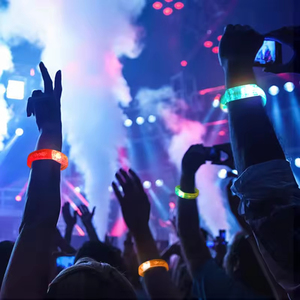 Pulseras LED Fiesta Intermitente Luz Up Pulsera Palos Fiesta Juguete Neón Rave Concierto <span class=keywords><strong>Carnaval</strong></span> Fiesta Accesorio - Product Image 3