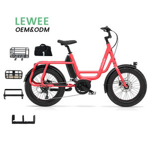 Vélo cargo électrique Bosch à gros pneus, 250W, 36V, cadre en alliage d'aluminium de 20 pouces, porte-bagages arrière <span class=keywords><strong>pour</strong></span> adulte, vente en gros - Product Image 1