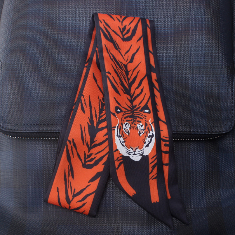 Tigre 1
