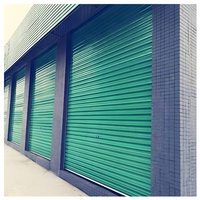 Installez les portes de volet roulant de style perforé, portes enroulées en acier de couleur électrique