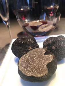 Detan nueva temporada salvaje fresca de trufa negra 2019-2020 - Product Image 4