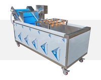Commerciële roestvrijstalen automatische fruit-, groente- en maïsreinigingsmachine met drievoudige reinigingsproces, hoge druk, sterk.