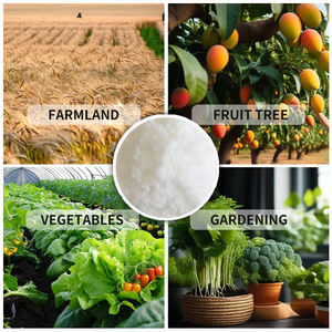 Fertilizante Compuesto en Polvo Instantáneo Soluble en Agua con Alto Contenido de Nitrógeno NPK 30-10-10 para Soja, Maíz y Yuca, Crecimiento Vegetativo Rápido - Product Image 5