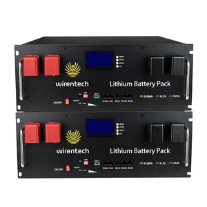 24V 48V 100Ah 200Ah Vente en gros UE Entrepôt Maison Packs de batteries rechargeables Lifepo4 Batteries lithium-ion Batterie de stockage d'énergie