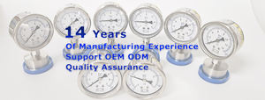 플랜지 다이어프램 게이지 0 - 1MAP - Product Image 3