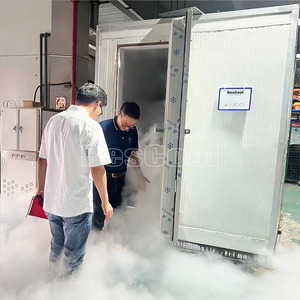 Hot-bán tùy chỉnh PU bánh sandwich thép Cooler bitzer tủ lạnh tủ đông container nhà hàng phòng lạnh lưu trữ bán lẻ - Product Image 2