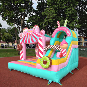 Château plein d'entrain gonflable de nouvelle conception de haute qualité avec la glissière pour la maison de rebond d'intérieur d'amusement de filles gonflable avec le prix concurrentiel - Product Image 3