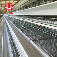 Nouveau système d'élevage commercial de volailles avec cage en acier galvanisé de type A et système d'alimentation automatique pour l'élevage de poussins pondeurs