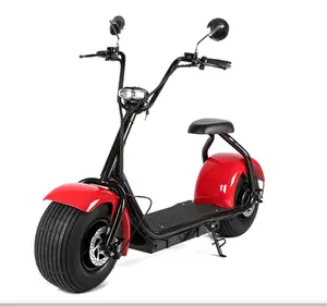 CE Elektric Chopper Scooter Basic model 1000W 2000WStand Up Cheap 2 Wheel Electric Moped Travel Trailers For electric Scooters