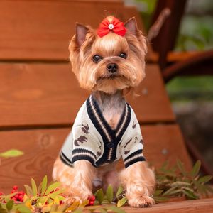 Adorable Cárdigan con Orejas de Oso para Perro, Suéter de Punto Suave para Otoño, para Cachorros Pequeños y Medianos, Machos y Hembras - Product Image 6