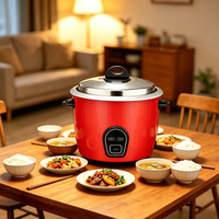 Autocuiseur Électrique à Tambour à Économie d'Énergie, Appareil de Cuisine Mécanique à Commande Unique, Cuisson Rapide Automatique
