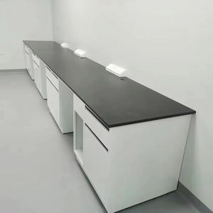 Banc de laboratoire scolaire en métal autoportant - Design moderne, prix d'usine, assemblage rapide pour les expériences scientifiques - Product Image 1