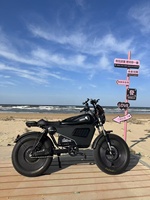 Vélo électrique de montagne à 2 roues, vélos électriques 3000w pour adultes, scooter Citycoco, vélos électriques à pneus larges